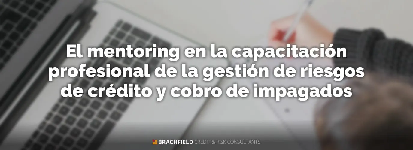 El mentoring en la capacitación profesional de la gestión de riesgos de crédito y cobro de impagados