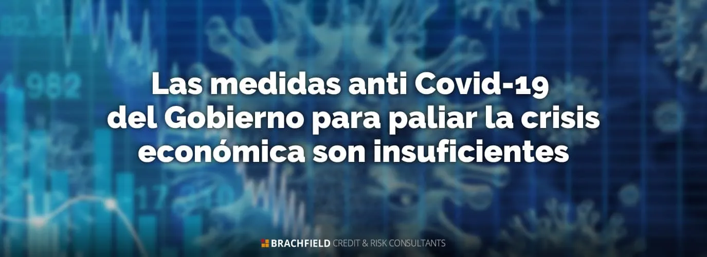 Las medidas anti Covid-19 del Gobierno para paliar la crisis económica son insuficientes