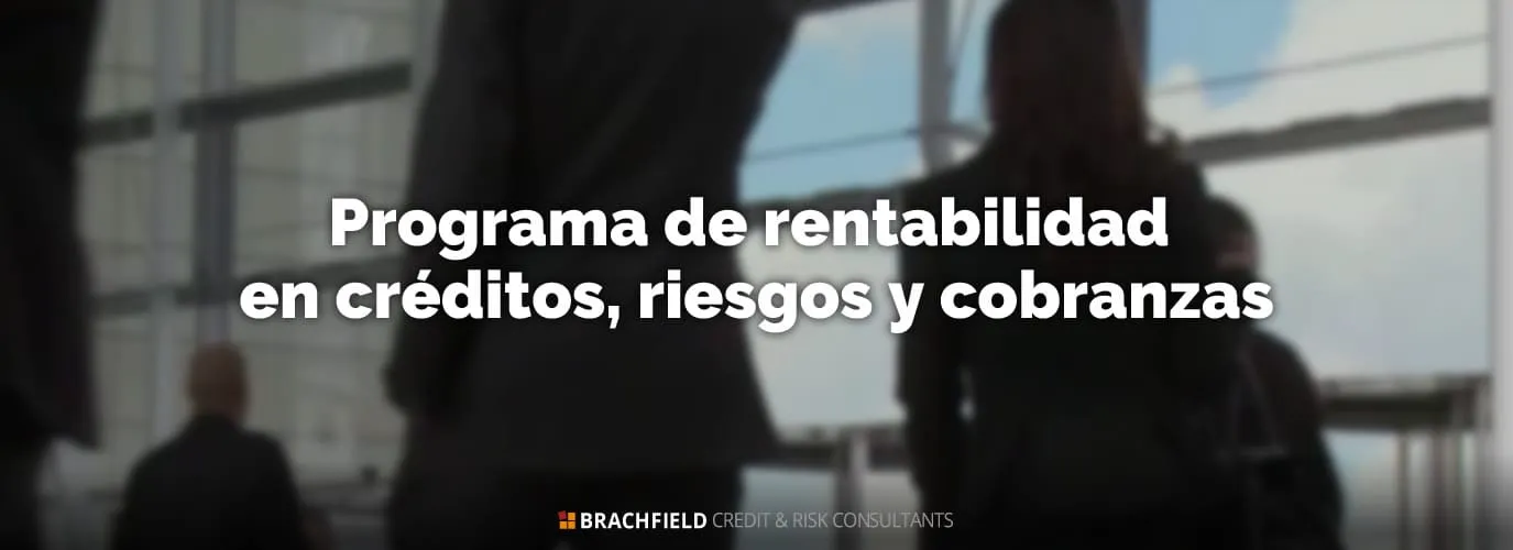 Programa de rentabilidad en créditos, riesgos y cobranzas