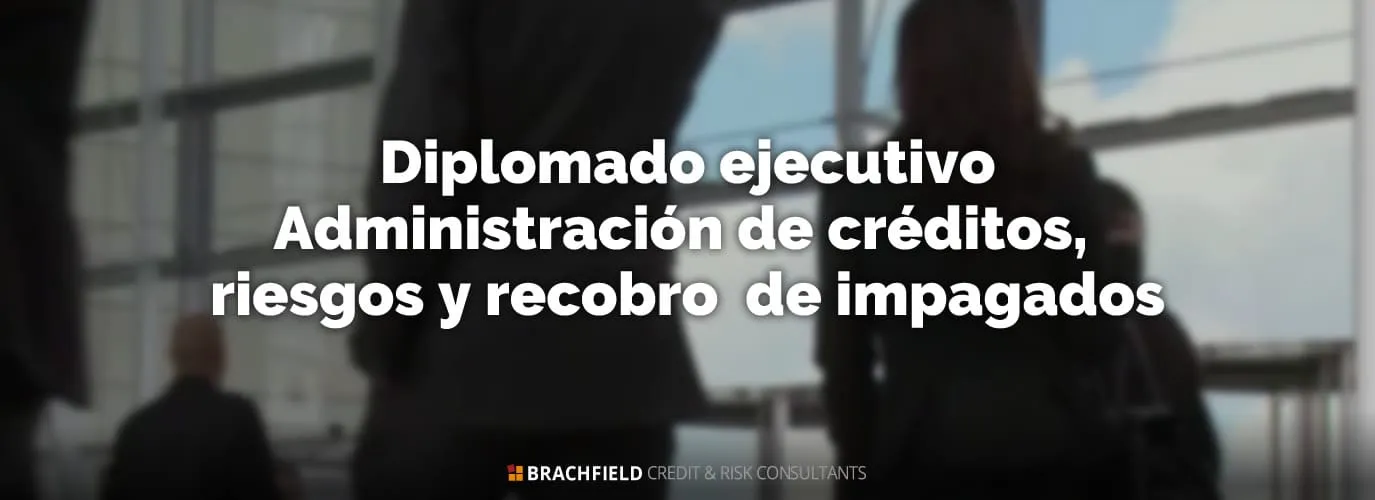 Diplomado ejecutivo. Administración de créditos,  riesgos y recobro  de impagados