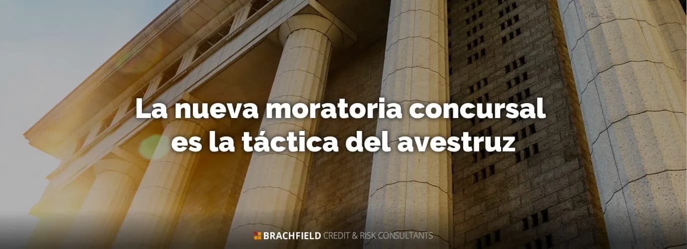 La nueva moratoria concursal es la táctica del avestruz