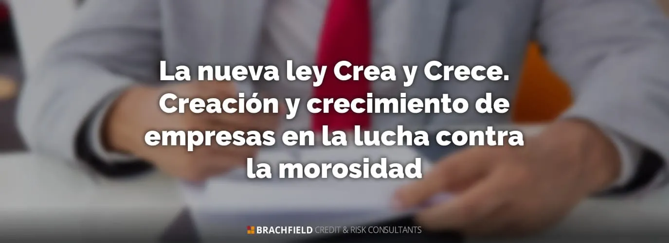 La nueva ley Crea y Crece - Creación y crecimiento de empresas en la lucha contra la morosidad