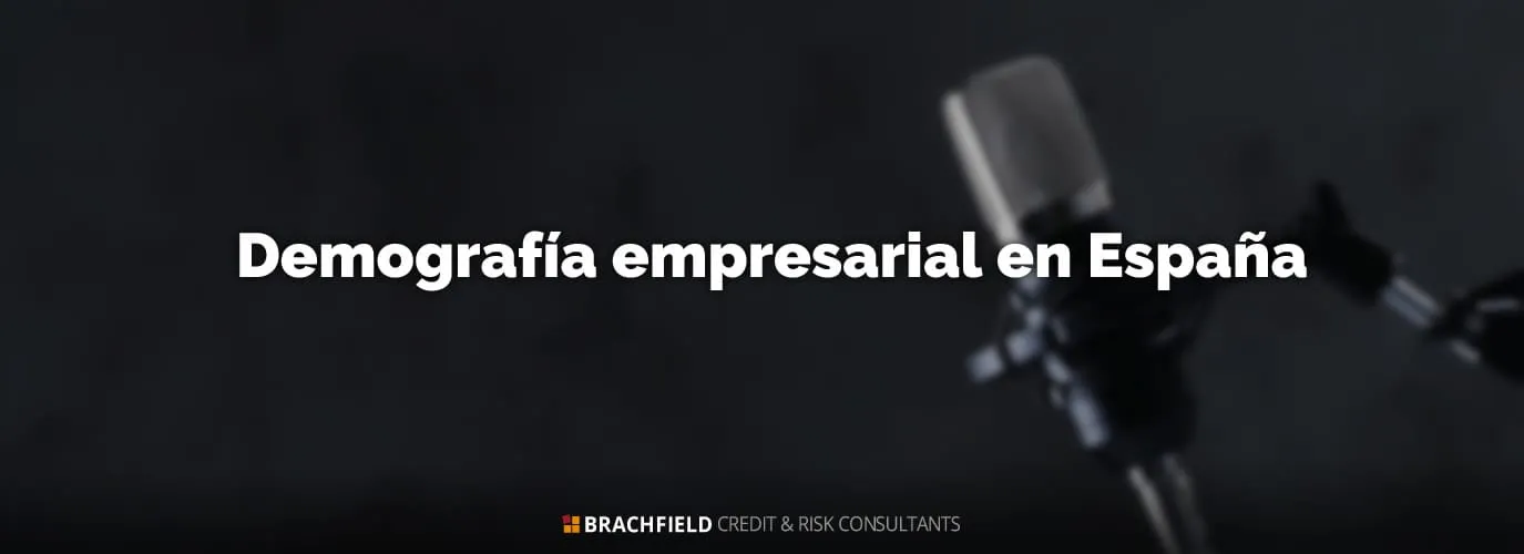 Demografía empresarial en España