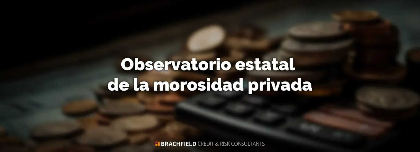 Observatorio estatal de la morosidad privada