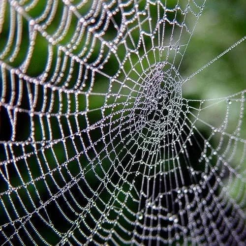 Plutarco y la eficacia de las leyes contra la morosidad