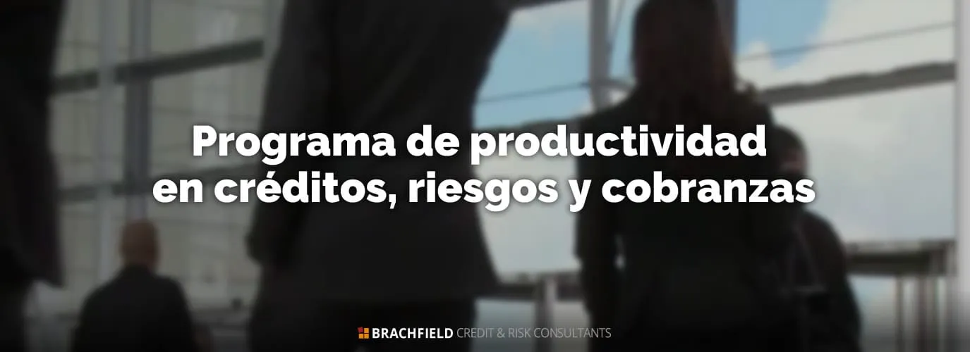 Programa de productividad en créditos, riesgos y cobranzas