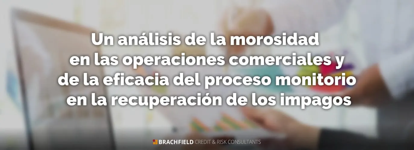 Un análisis de la morosidad en las operaciones comerciales y de la eficacia del proceso monitorio en la recuperación de los impagos