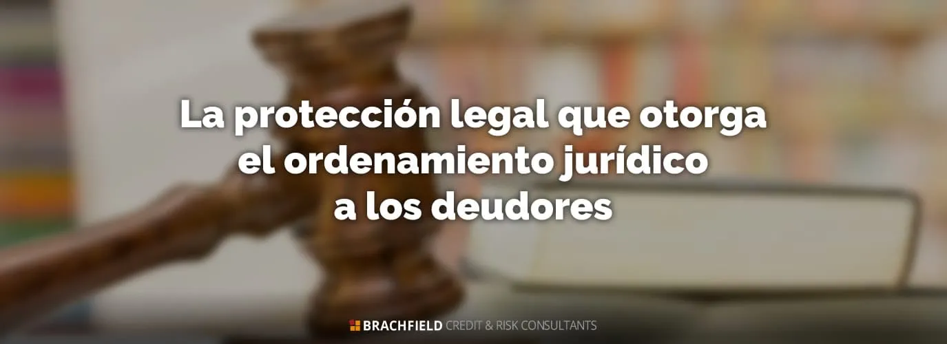 La protección legal que otorga el ordenamiento jurídico a los deudores