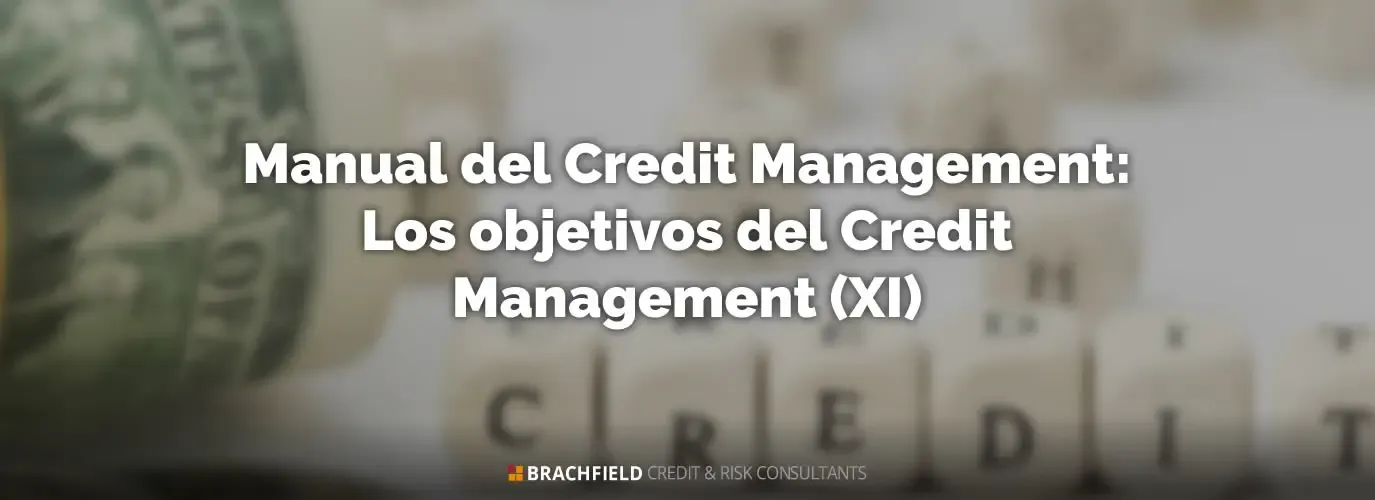 Manual del Credit Management: