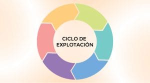Ciclo de Explotación