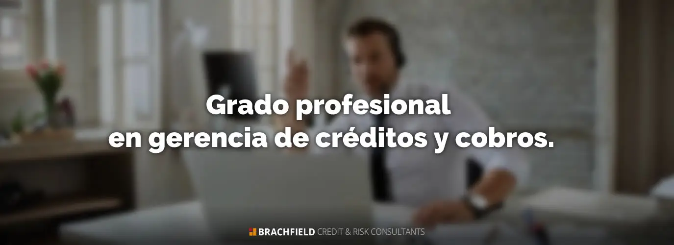 Grado Profesional