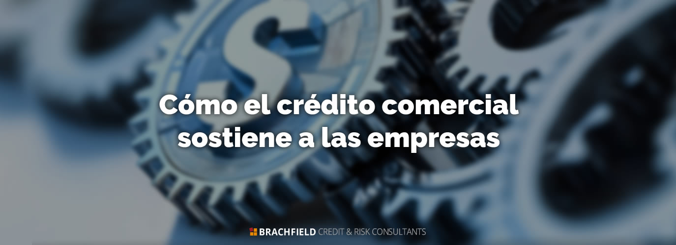 Cómo el crédito comercial sostiene a las empresas
